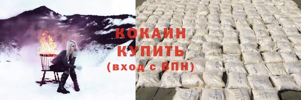 индика Осташков