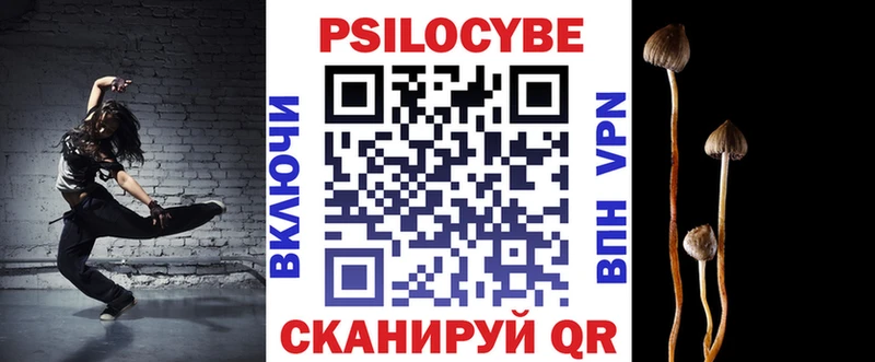 закладки  Руза  Псилоцибиновые грибы мицелий 